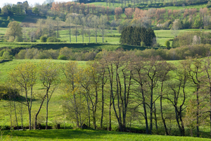 Couvreur Rosny-sous-Bois